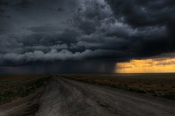 Black clouds in the field