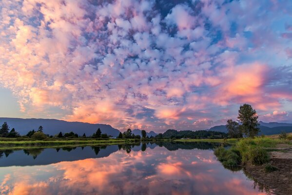 Himmel vor dem Morgen mit rosa Wolken