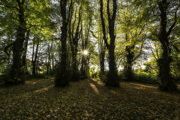 Comté de Londoderry en Irlande du Nord