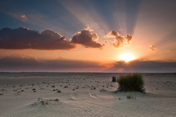 Weißer Sand bei Sonnenuntergang in der Wüste