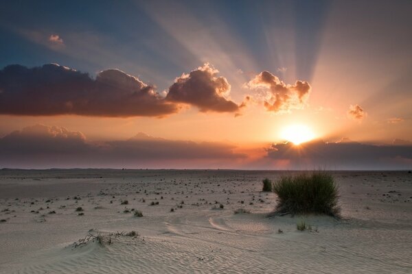 Sable blanc au coucher du soleil dans le désert