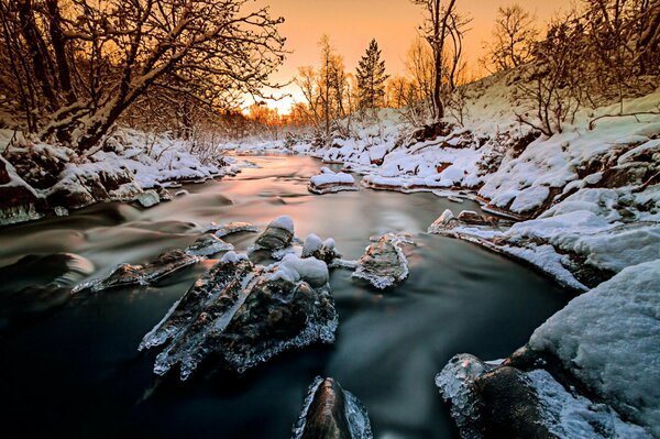 Снежное течение воды среди деревьев