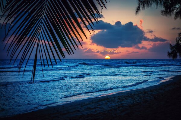 Beau paysage des Caraïbes