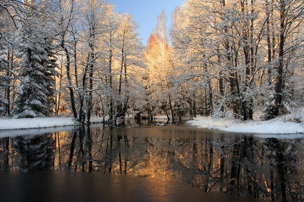 Fiume invernale innevato nella foresta