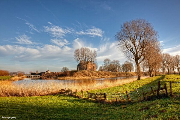 The grasses and trees dried up in the sun