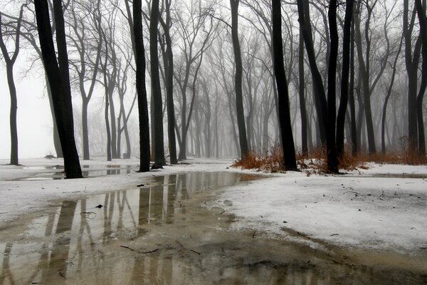 A dull quiet spring road