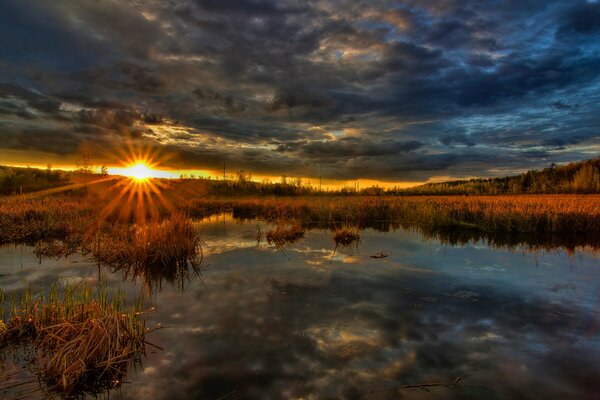 Orange sunset on the shore of the swamp