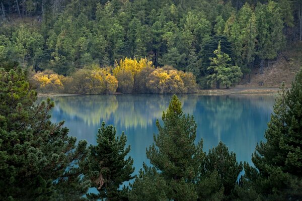 Lago azul rodeado de bosque de otoño