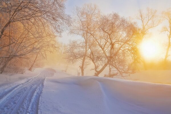 Journée ensoleillée d hiver. route. paysage