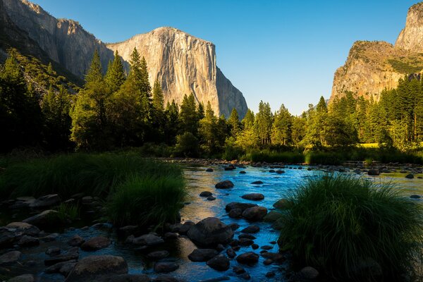 Natura. Jezioro przy lesie i górach. Park Yosemite