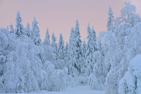 Eh nieve, nieve, nieve blanca