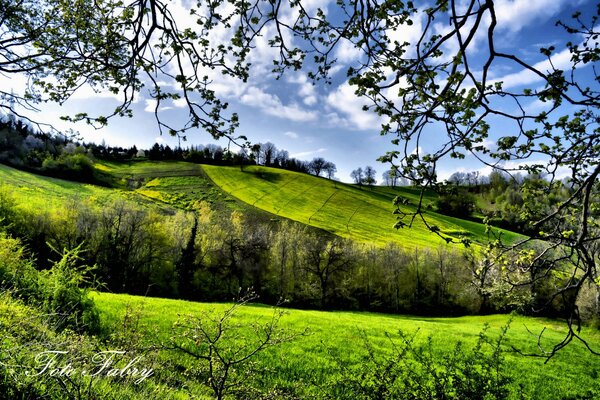 Campo primaverile nel villaggio dove c è molto verde