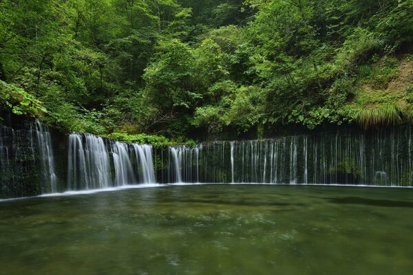 Shiraito Falls in Giappone circondata da una foresta verde