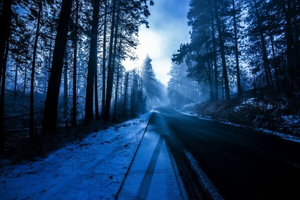 Photo sombre arbres et route