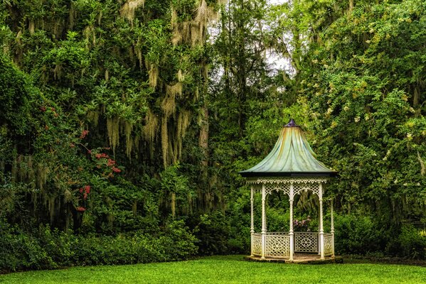 Belvédère sous la canopée des magnolias à Charleston