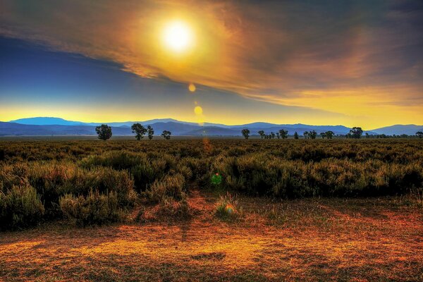 Paisaje con el resplandor del sol en el páramo de hierba