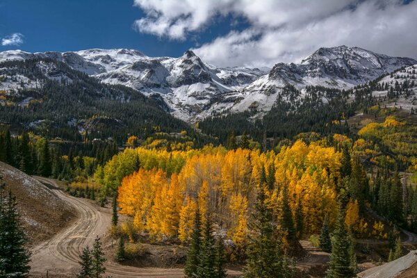 El camino entre las montañas y el bosque de otoño