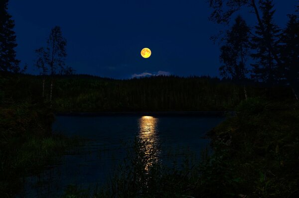 Luna piena sopra la foresta e il lago