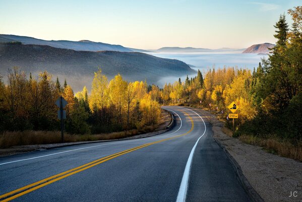 Autumn road in una foresta luminosa con foschia