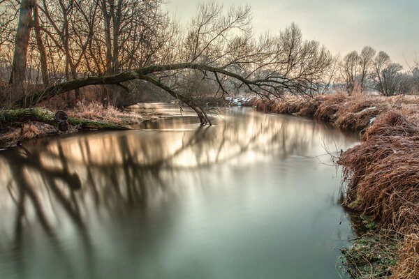 Amanecer en la orilla del río