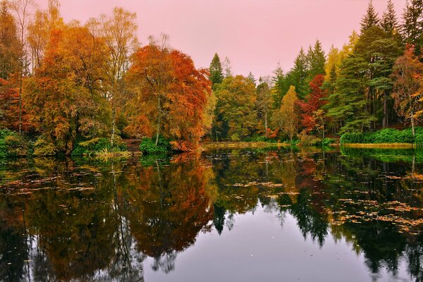 Belle forêt d automne autour du lac