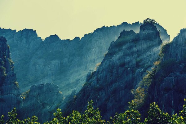 Bäume und Himmel in den Bergen Thailands