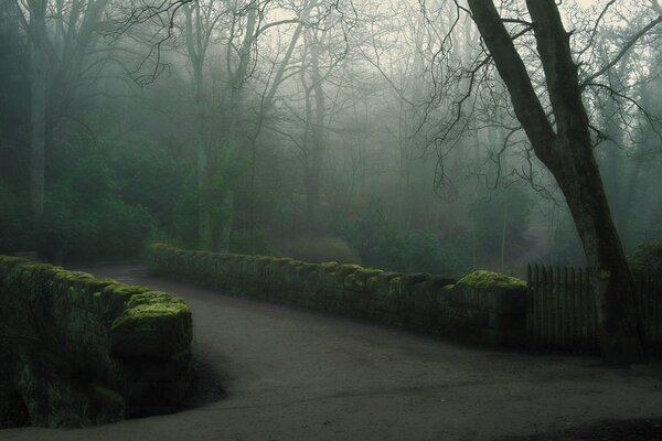 A bridge in a foggy morning park