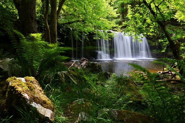 In a national park in England there is a waterfall in the forest