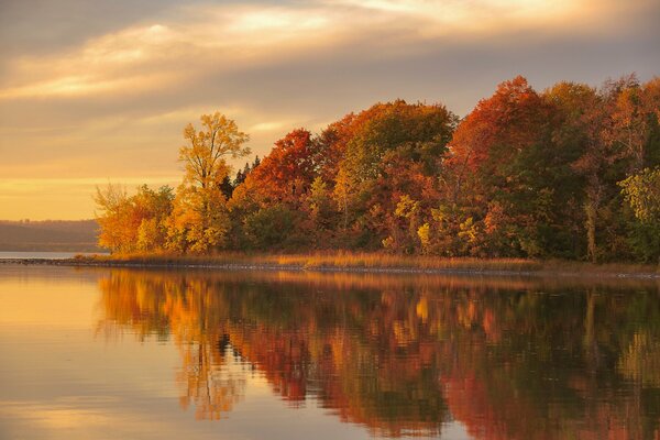 Reflejo del bosque de otoño en el lago