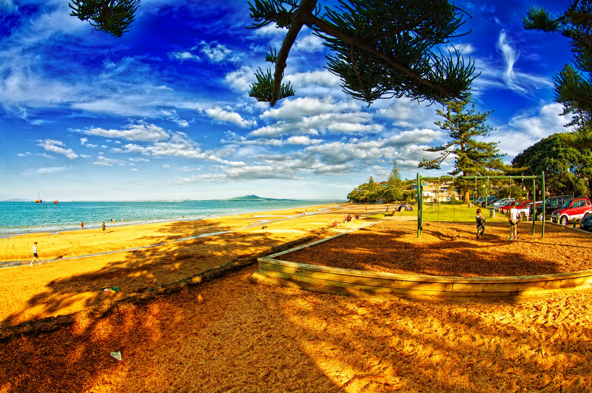 beach people tree sea