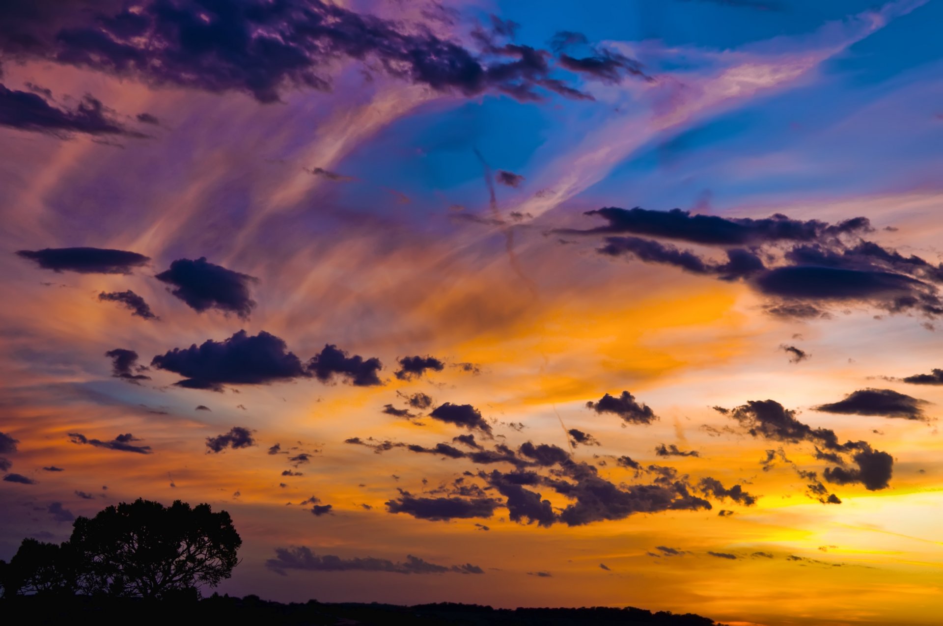 ciel nuages coucher de soleil arbre