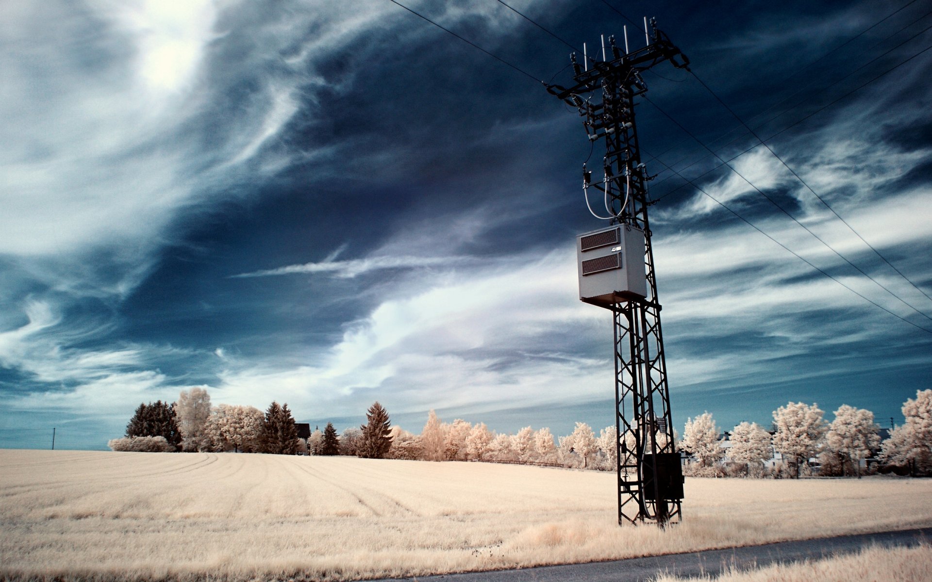 tree the field post wire sky