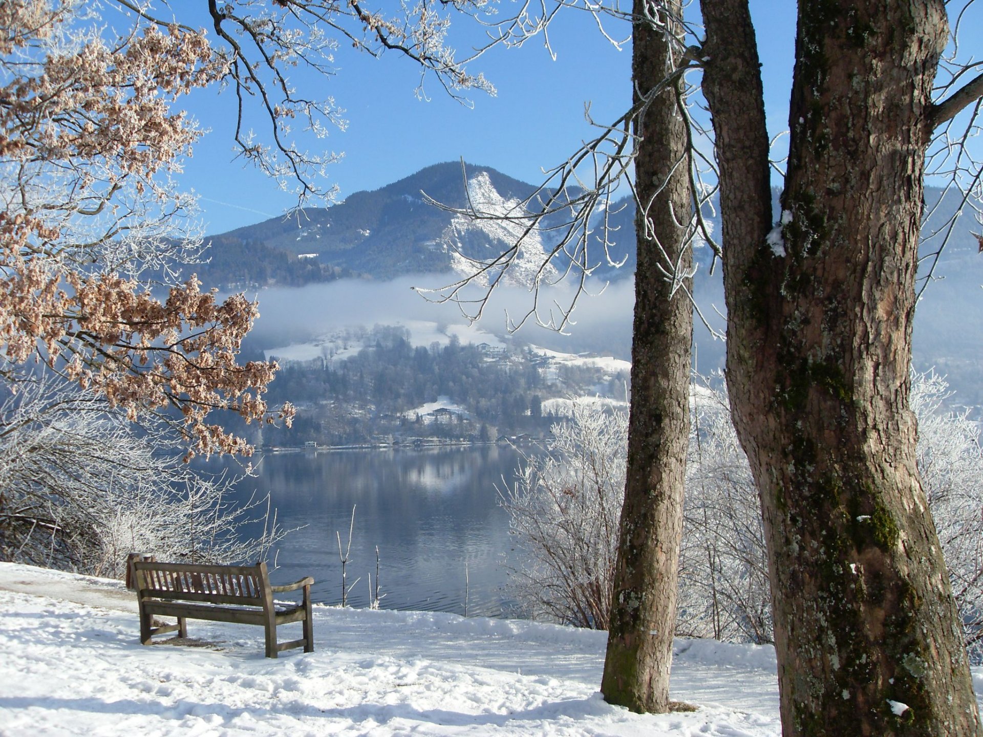 hiver rivière arbres banc