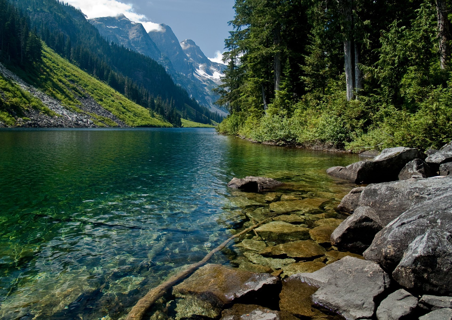 montagne alberi fiume di montagna acqua natura