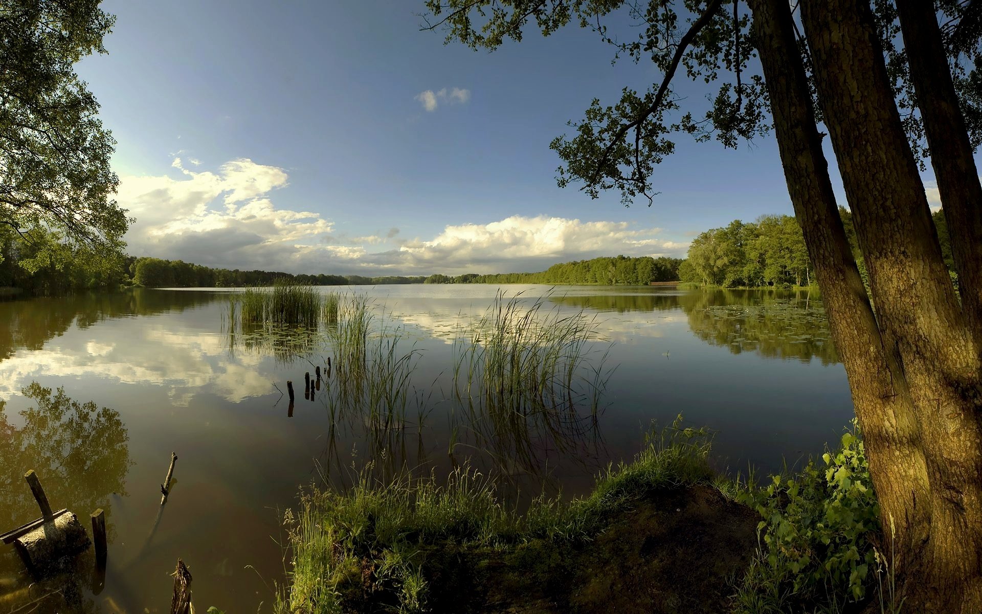 lago superficie liscia alberi nuvole