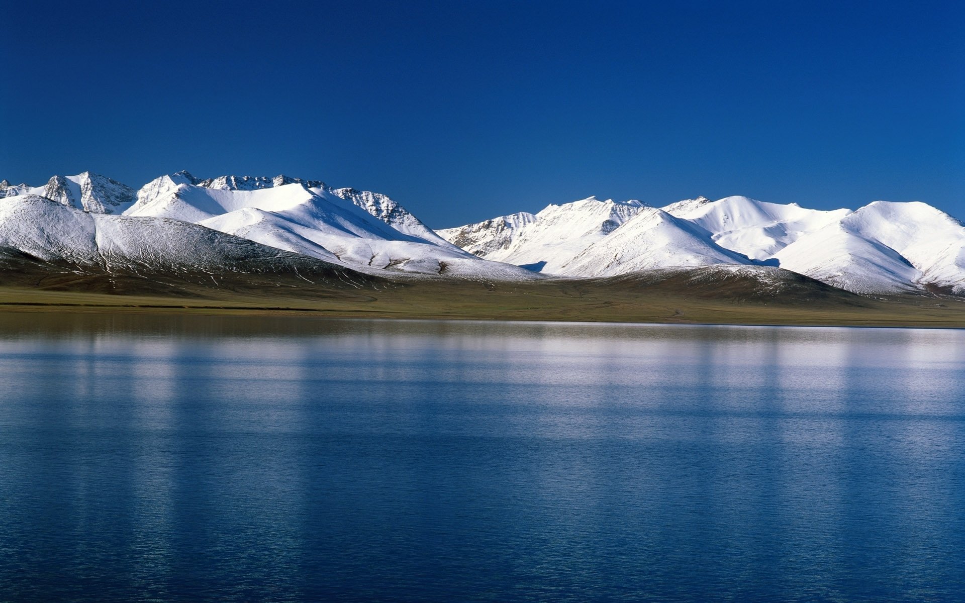 tundra nieve montañas