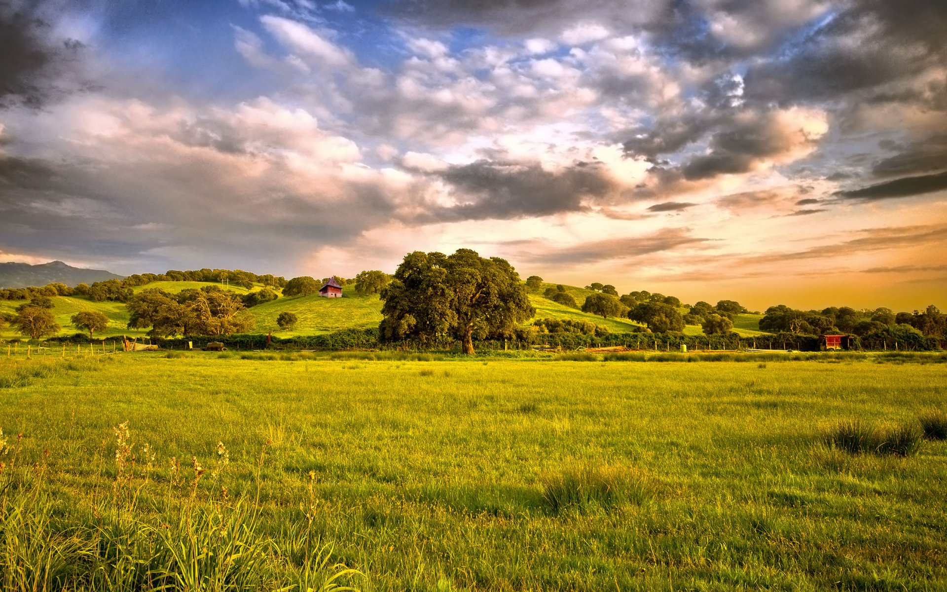 baum feld gras himmel wolken