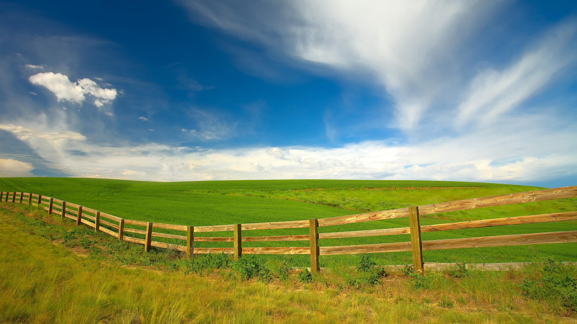 washington the field fence