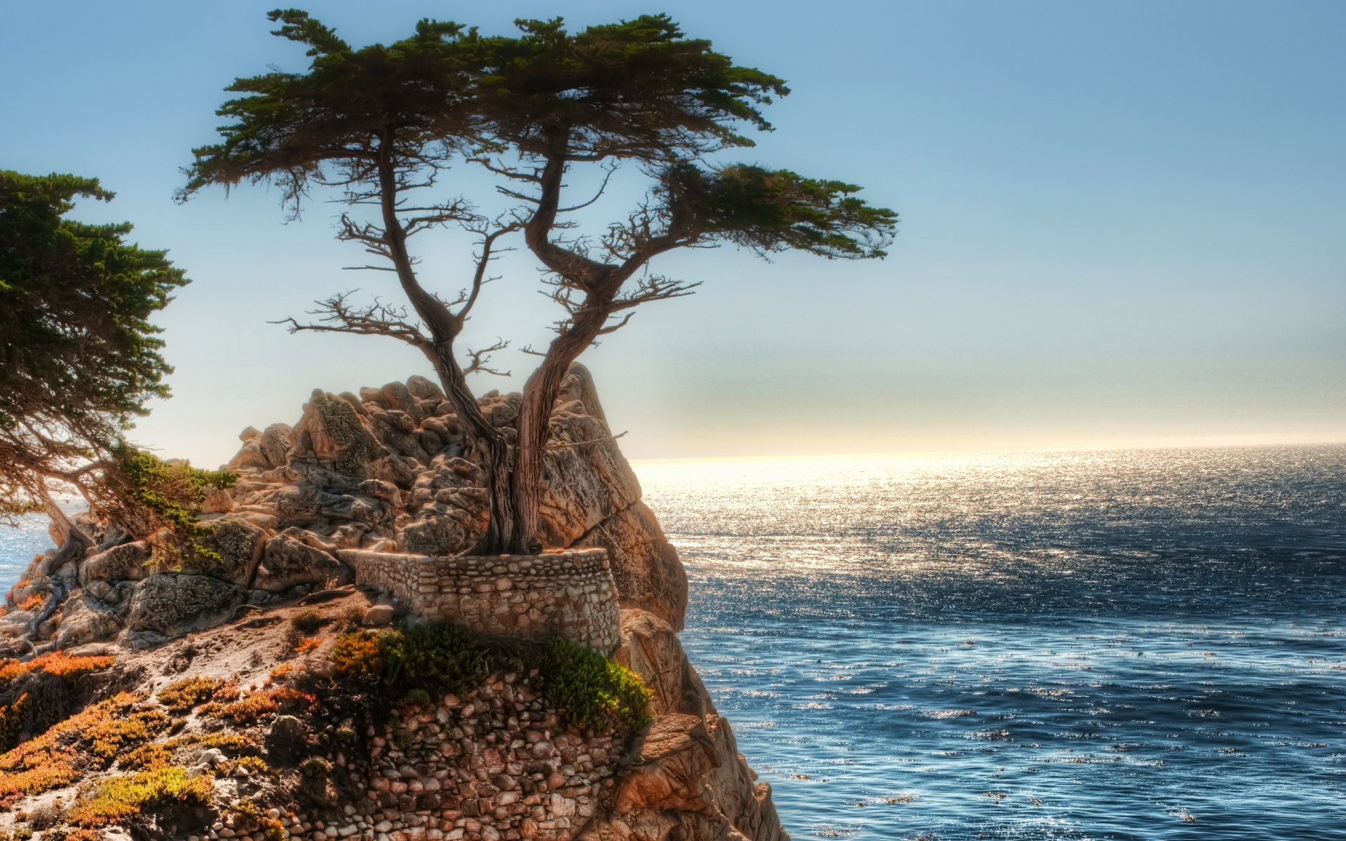 océan arbre roches