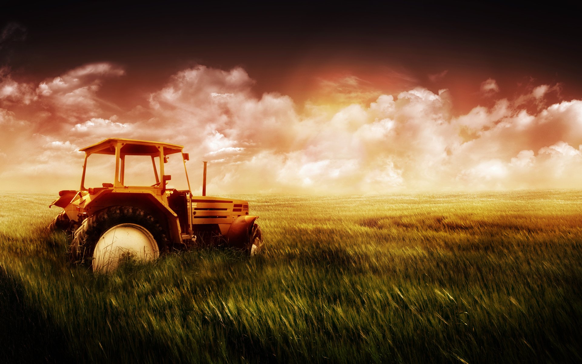 the field tractor sky grass wheat