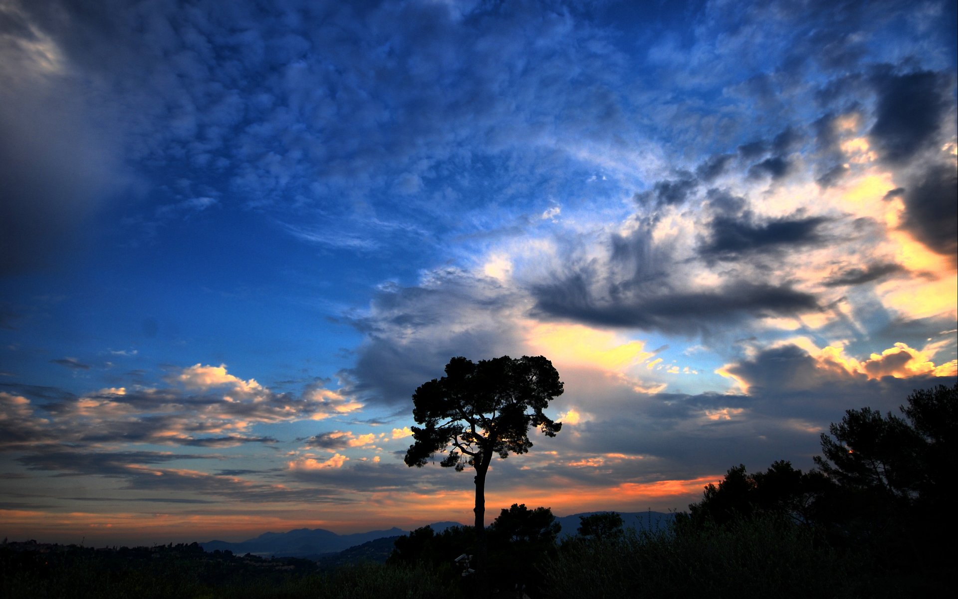 arbre ciel nuages