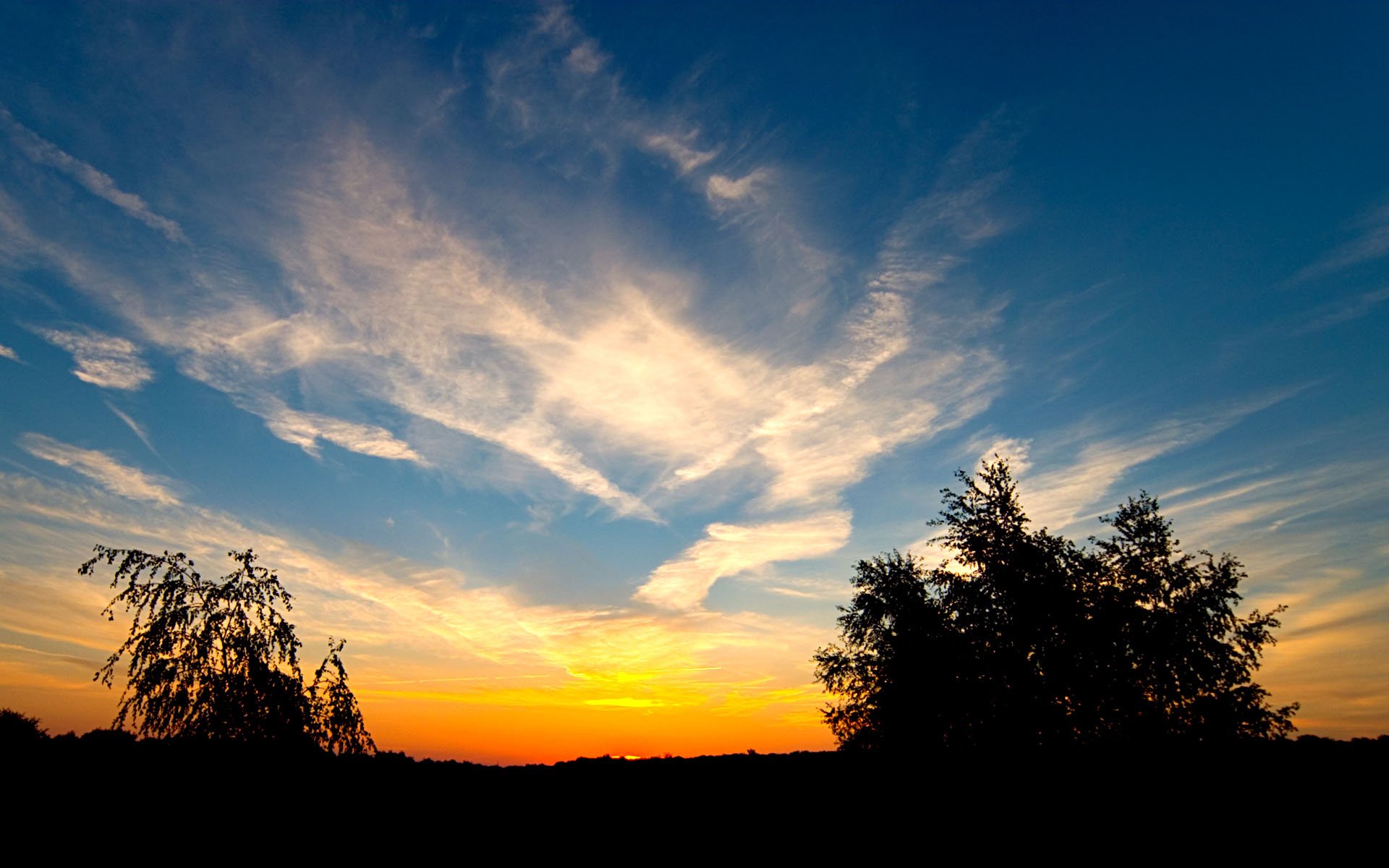 tramonto nuvole alberi