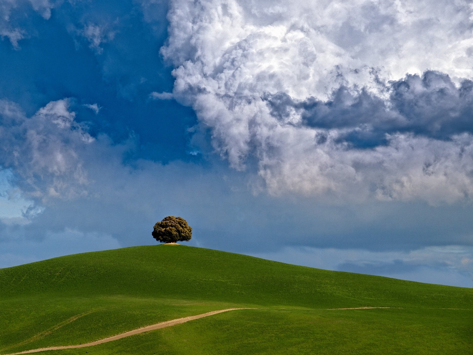 colina árbol nubes