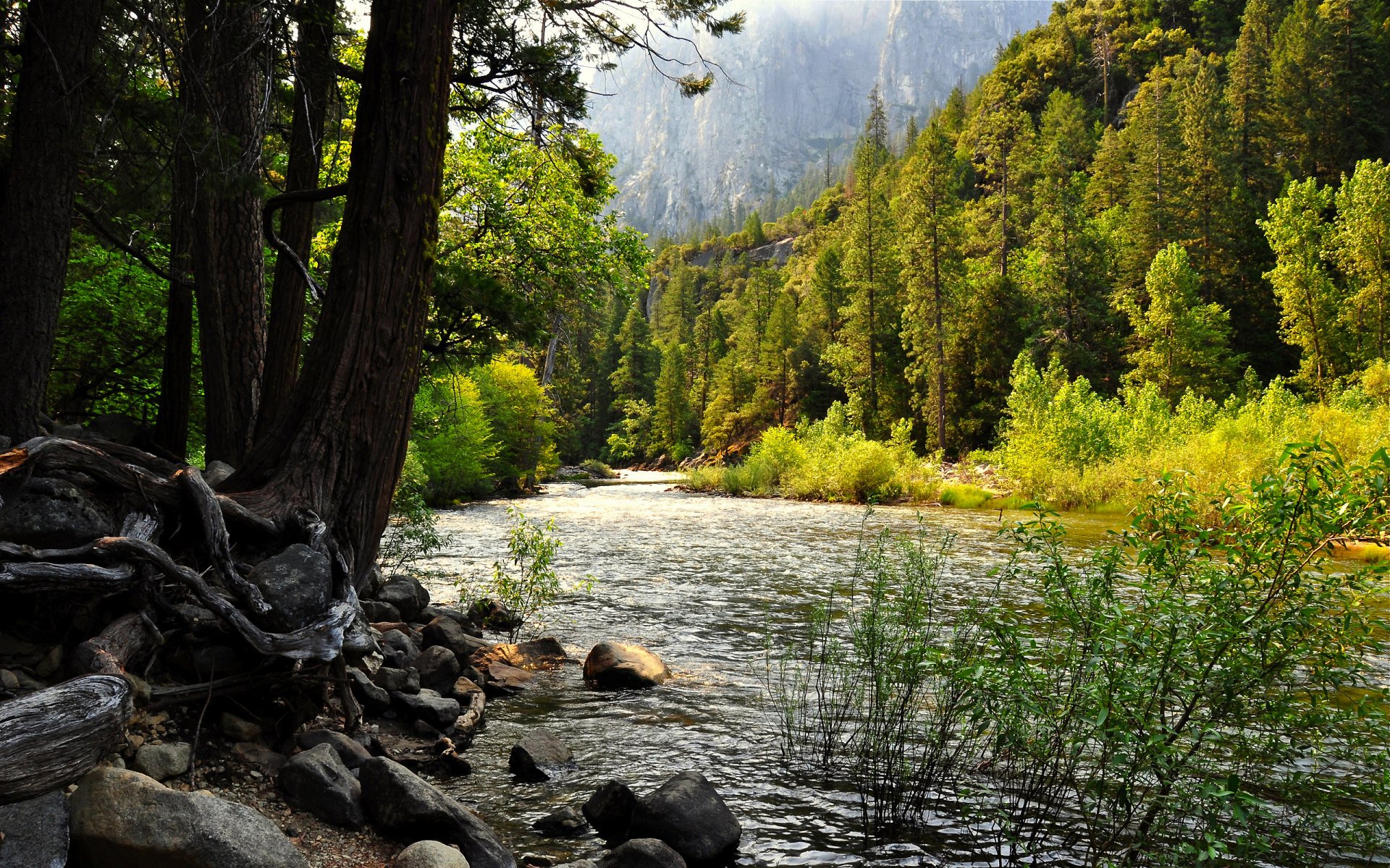 united states forest lake california yosemite