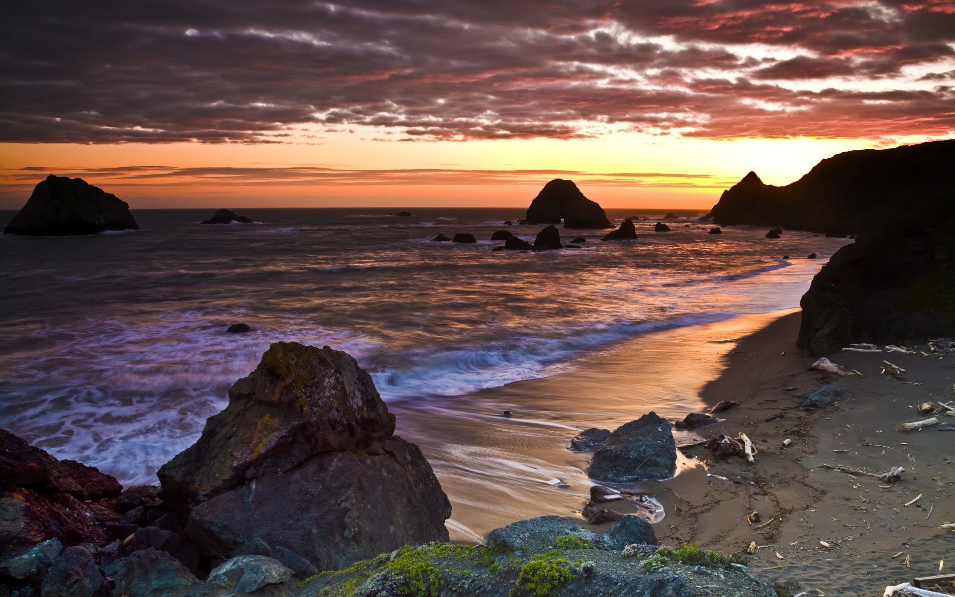 california ocean beach