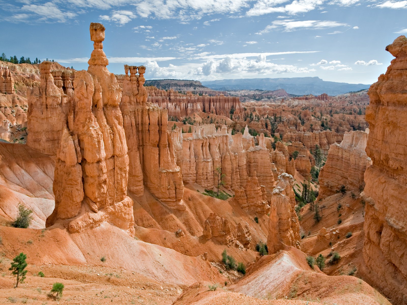 estados unidos cañón cielo