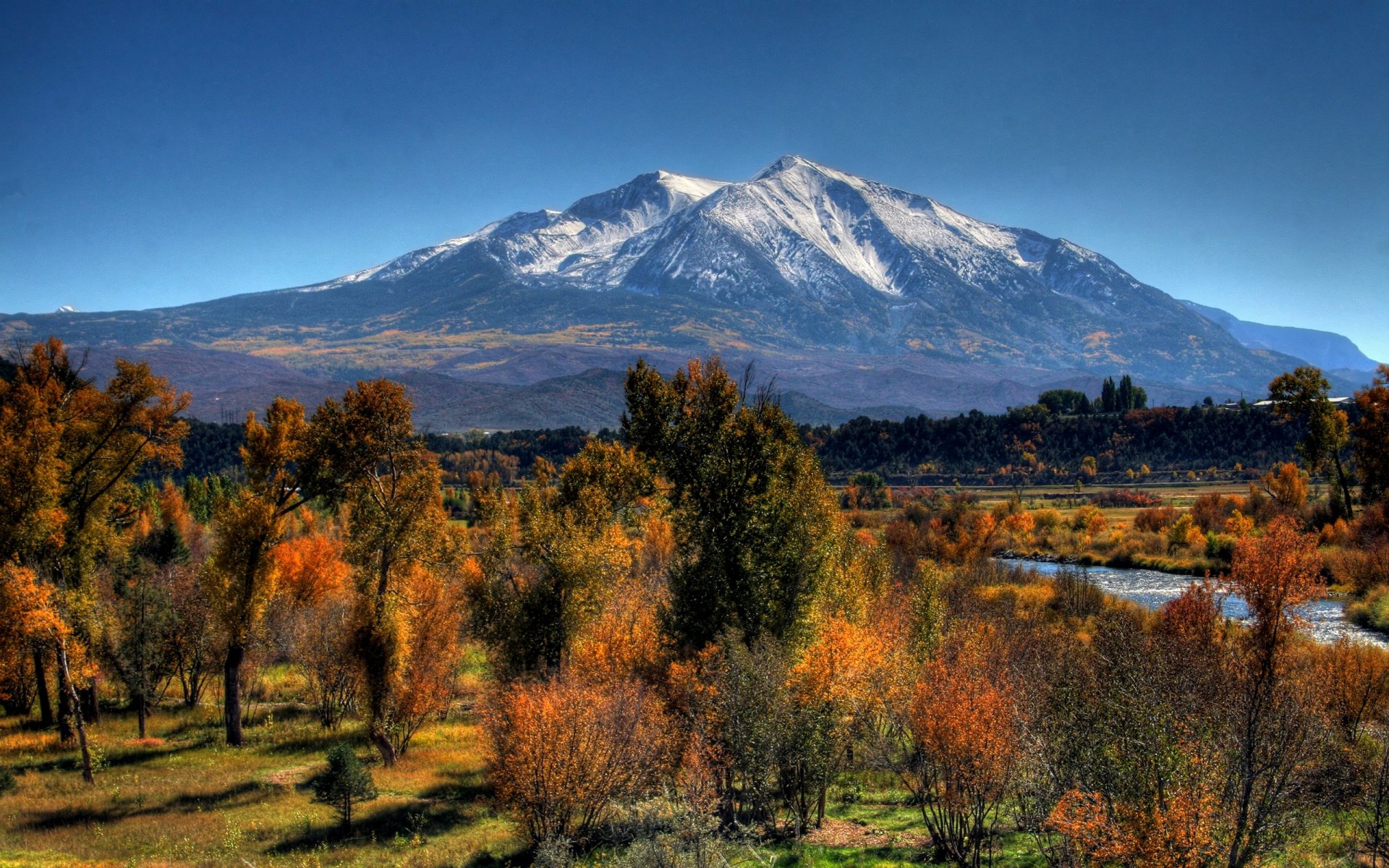 montagne automne arbres