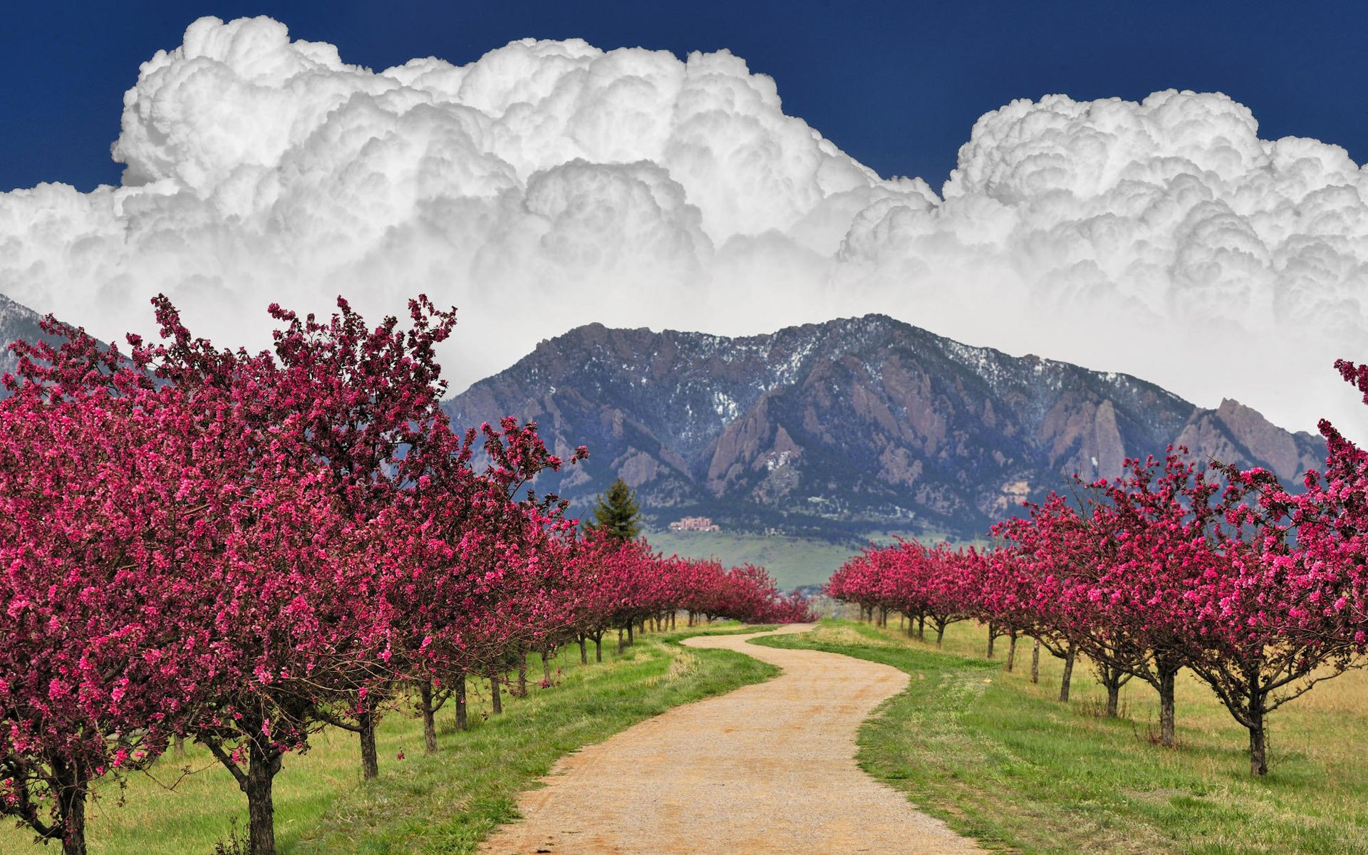 route nuages ciel montagnes arbres floraison