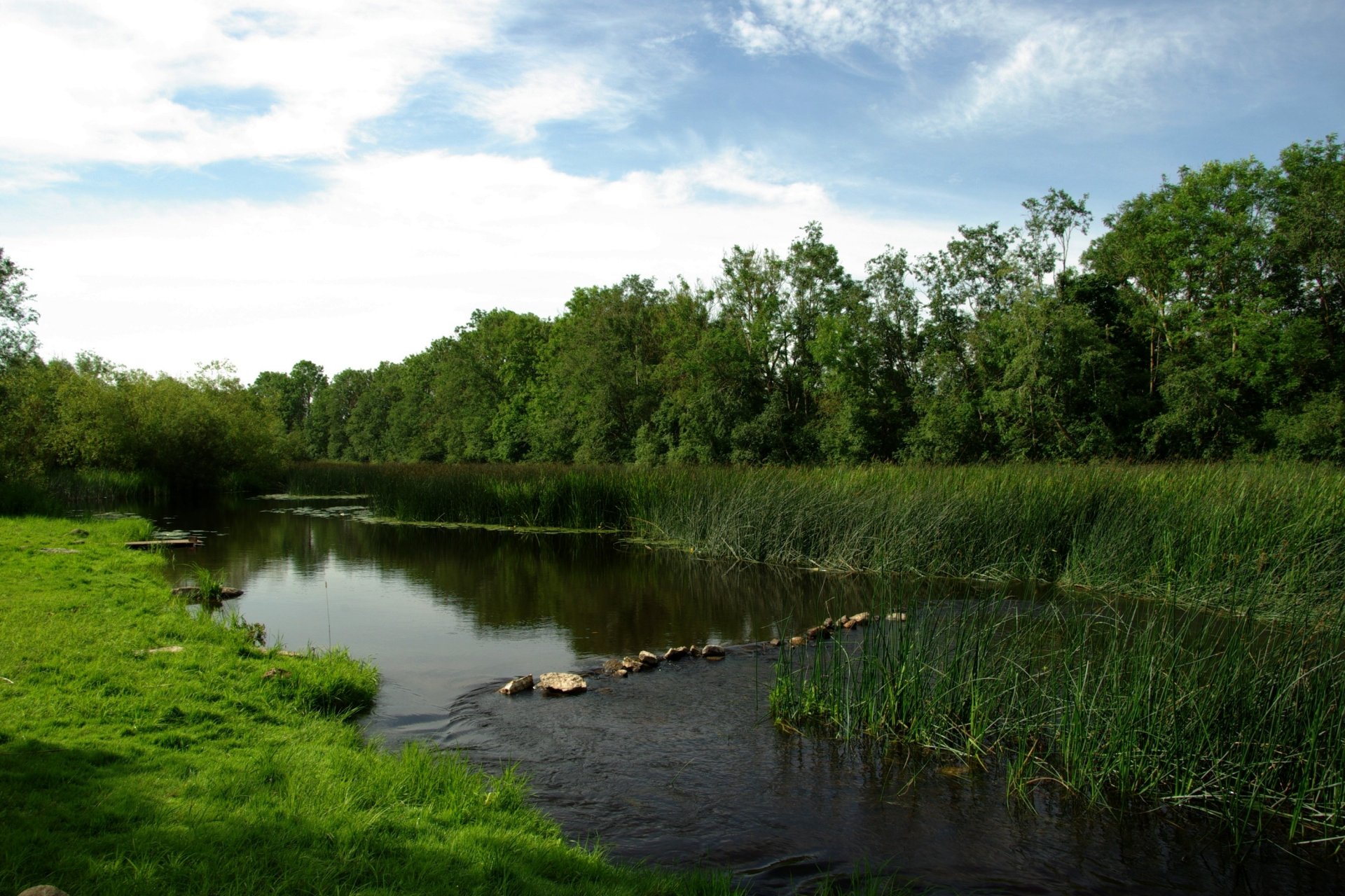 fiume rotolo prato