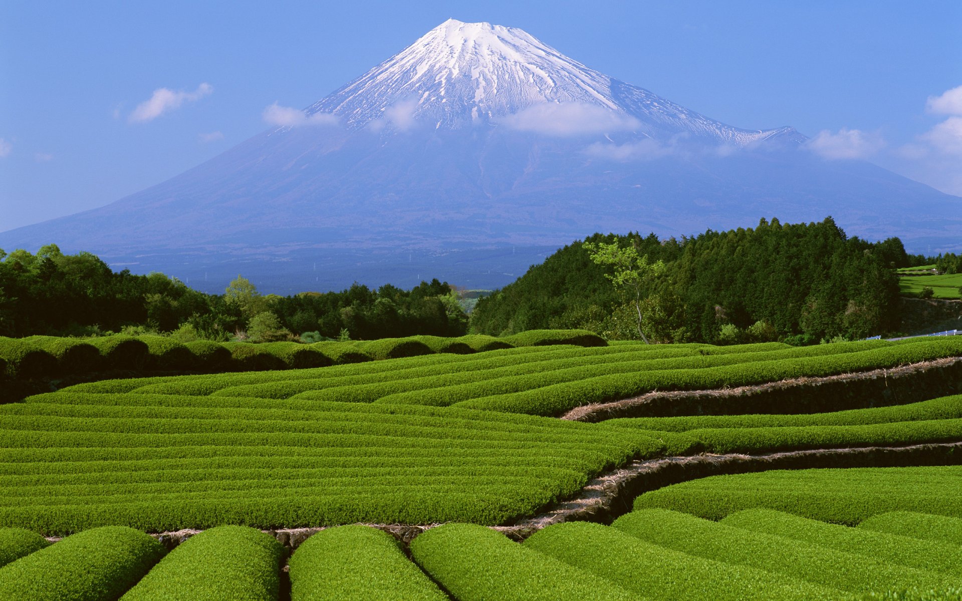 japón montaña fuji